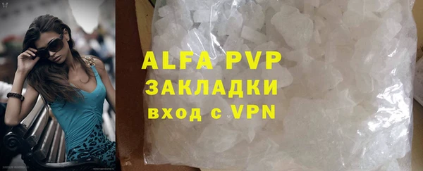 стафф Коряжма