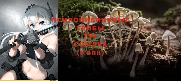 spice Краснотурьинск