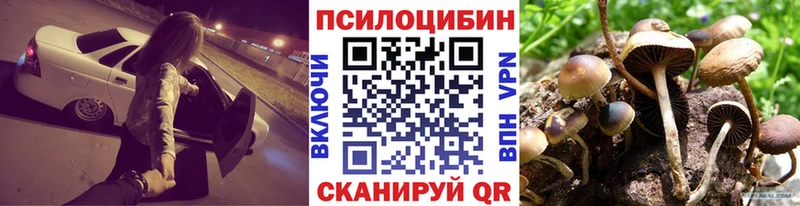 Псилоцибиновые грибы Psilocybe  Купить  Анапа 